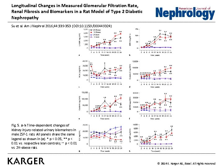 Longitudinal Changes in Measured Glomerular Filtration Rate, Renal Fibrosis and Biomarkers in a Rat