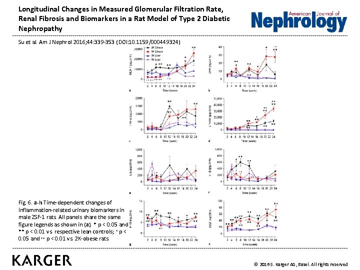 Longitudinal Changes in Measured Glomerular Filtration Rate, Renal Fibrosis and Biomarkers in a Rat