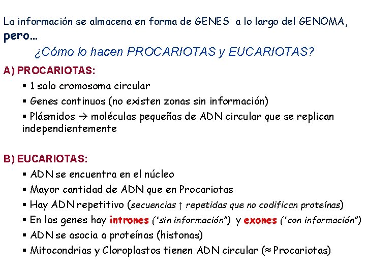 La información se almacena en forma de GENES a lo largo del GENOMA, pero…