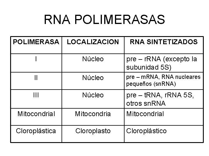 RNA POLIMERASAS POLIMERASA LOCALIZACION RNA SINTETIZADOS I Núcleo pre – r. RNA (excepto la