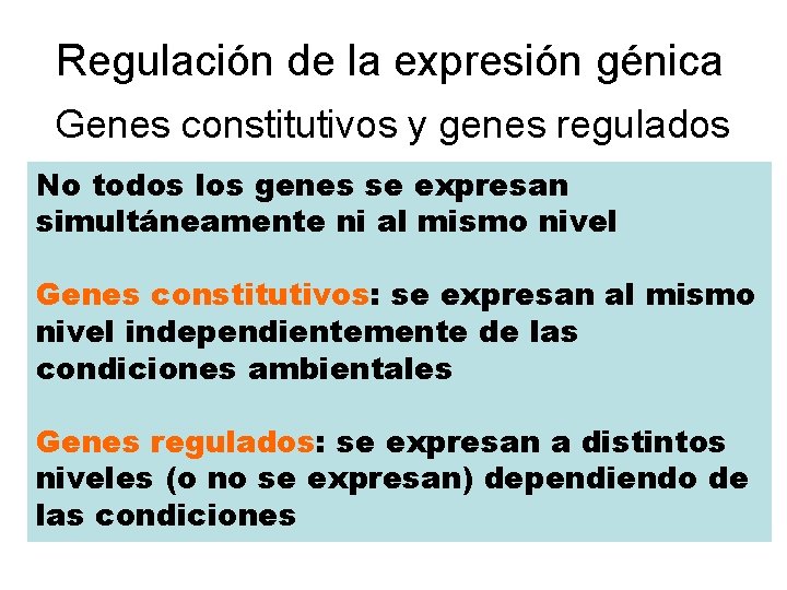 Regulación de la expresión génica Genes constitutivos y genes regulados No todos los genes