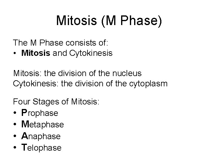 Mitosis (M Phase) The M Phase consists of: • Mitosis and Cytokinesis Mitosis: the