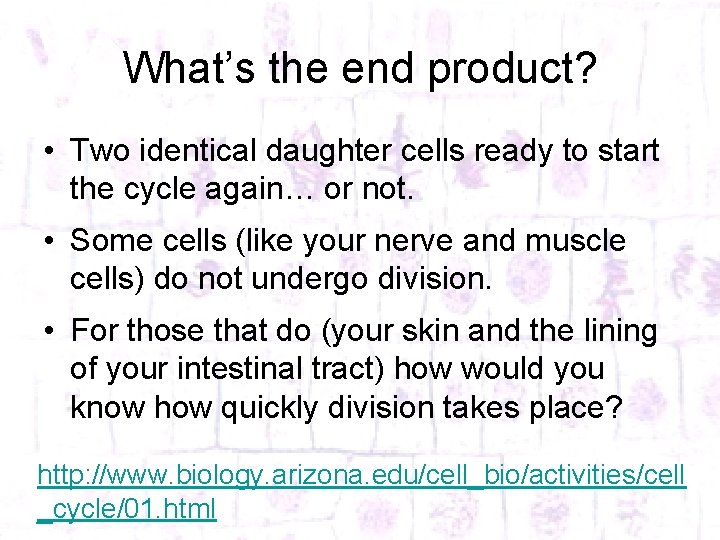 What’s the end product? • Two identical daughter cells ready to start the cycle