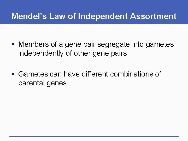 Mendel’s Law of Independent Assortment § Members of a gene pair segregate into gametes