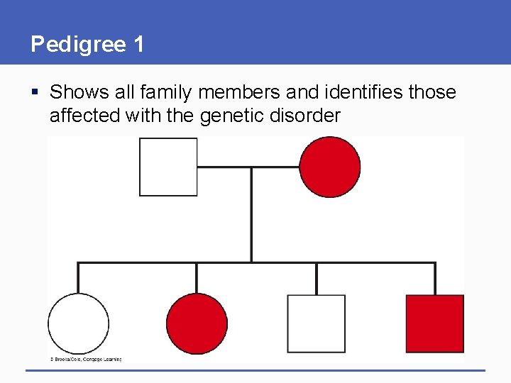 Pedigree 1 § Shows all family members and identifies those affected with the genetic