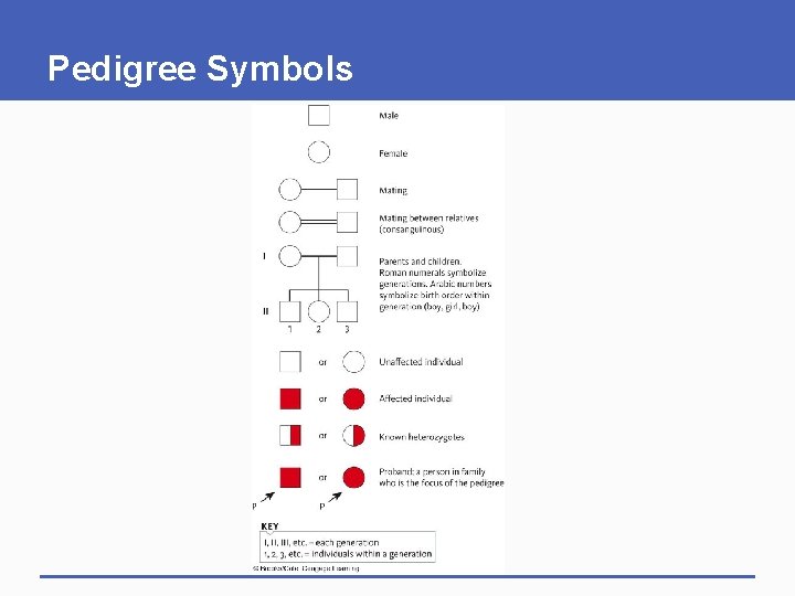Pedigree Symbols 