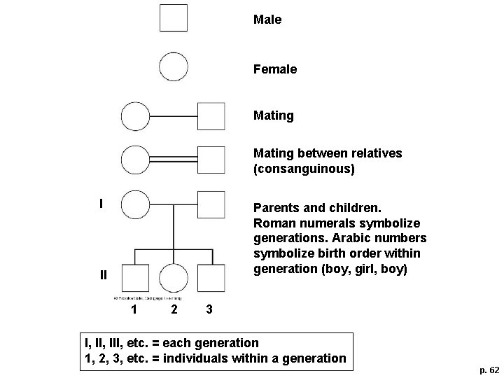 Male Female Mating between relatives (consanguinous) I Parents and children. Roman numerals symbolize generations.