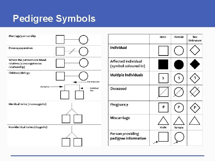 Pedigree Symbols 
