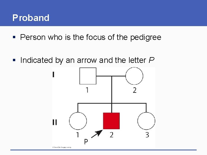 Proband § Person who is the focus of the pedigree § Indicated by an