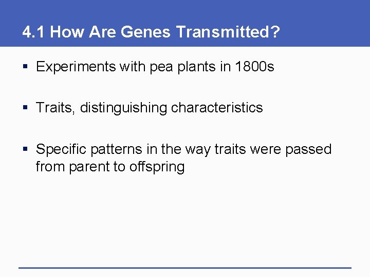 4. 1 How Are Genes Transmitted? § Experiments with pea plants in 1800 s