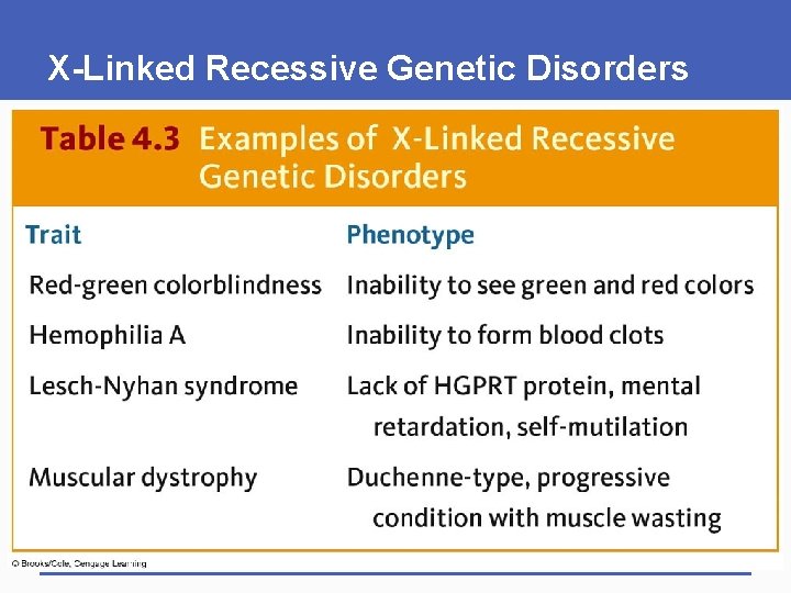 X-Linked Recessive Genetic Disorders 