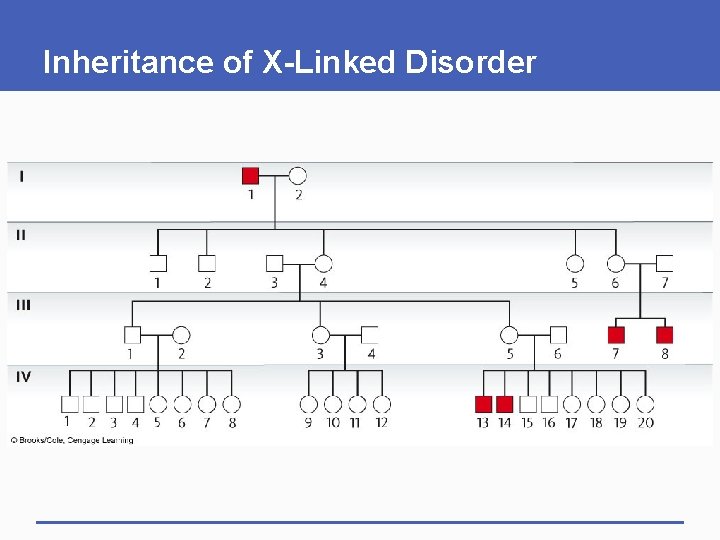 Inheritance of X-Linked Disorder 