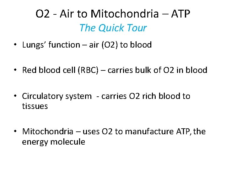 O 2 - Air to Mitochondria – ATP The Quick Tour • Lungs’ function