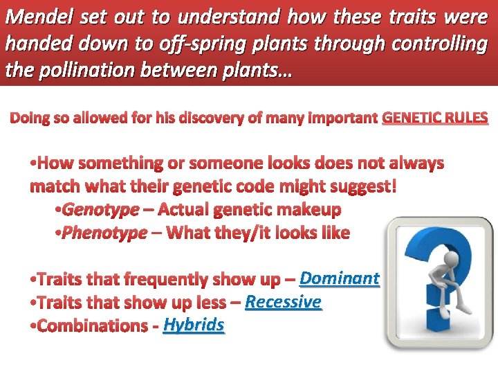 Mendel set out to understand how these traits were handed down to off-spring plants