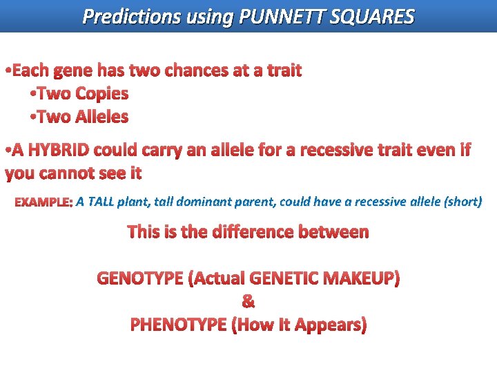 Predictions using PUNNETT SQUARES • Each gene has two chances at a trait •