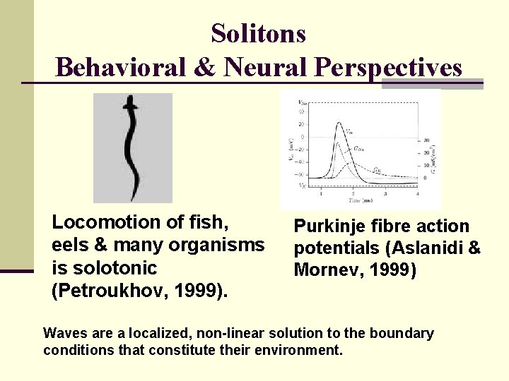 Solitons Behavioral & Neural Perspectives Locomotion of fish, eels & many organisms is solotonic