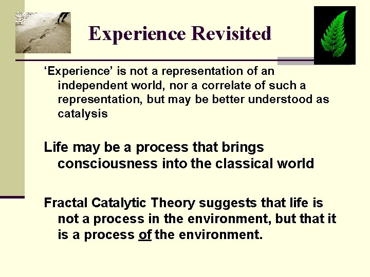 Experience Revisited ‘Experience’ is not a representation of an independent world, nor a correlate