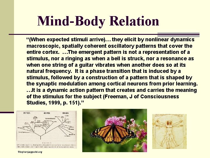 Mind-Body Relation “(When expected stimuli arrive)… they elicit by nonlinear dynamics macroscopic, spatially coherent