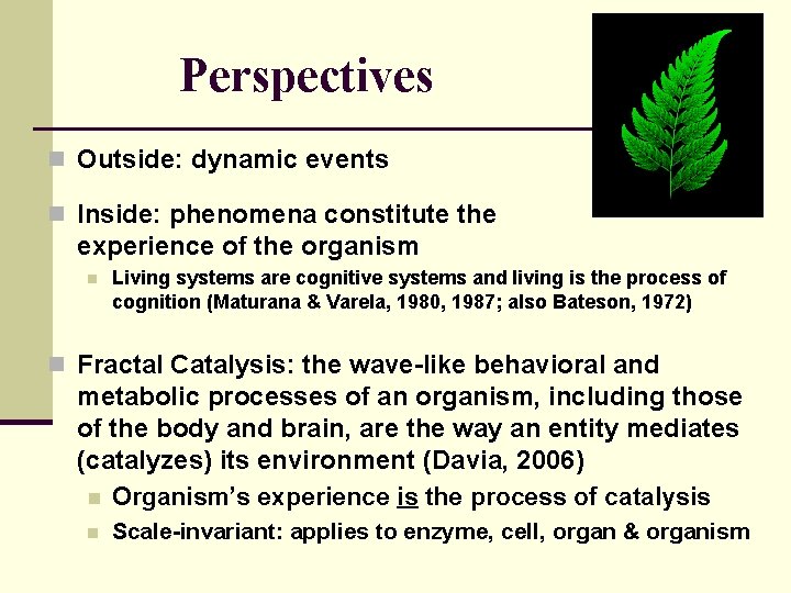 Perspectives n Outside: dynamic events n Inside: phenomena constitute the experience of the organism