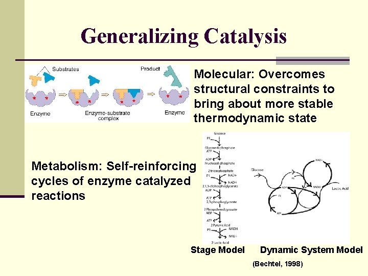 Generalizing Catalysis Molecular: Overcomes structural constraints to bring about more stable thermodynamic state Metabolism: