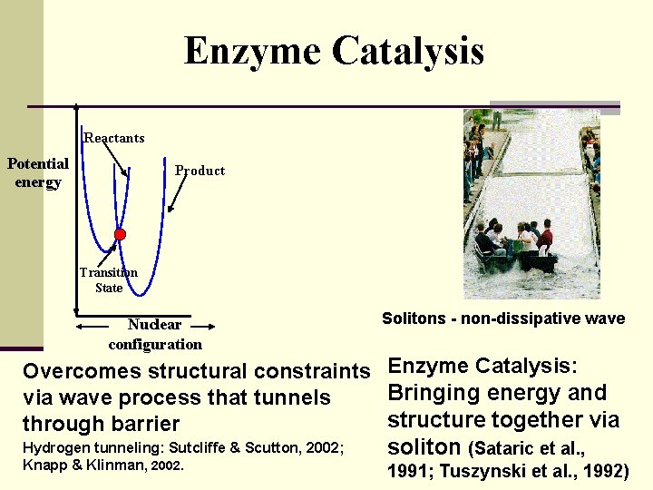 Enzyme Catalysis Reactants Potential energy Product Transition State Nuclear configuration Solitons - non-dissipative wave
