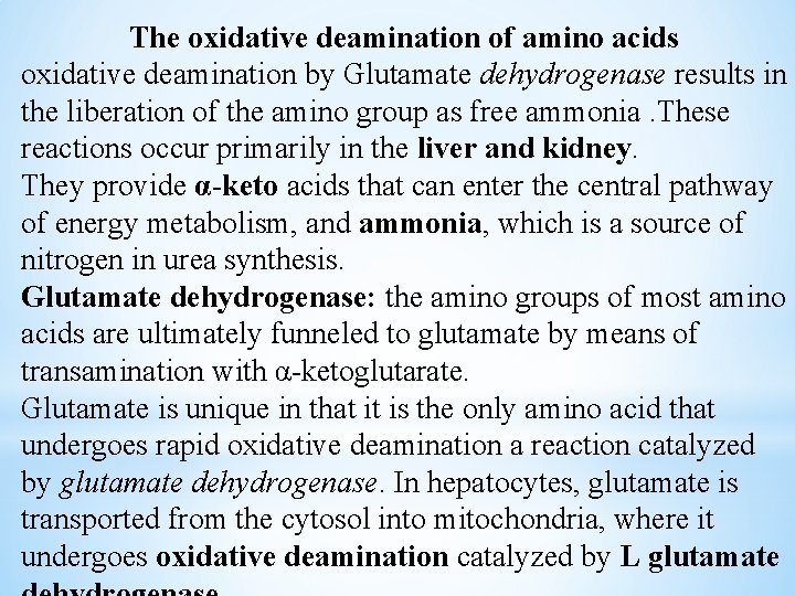 The oxidative deamination of amino acids oxidative deamination by Glutamate dehydrogenase results in the