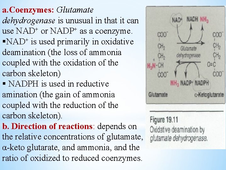 a. Coenzymes: Glutamate dehydrogenase is unusual in that it can use NAD+ or NADP+