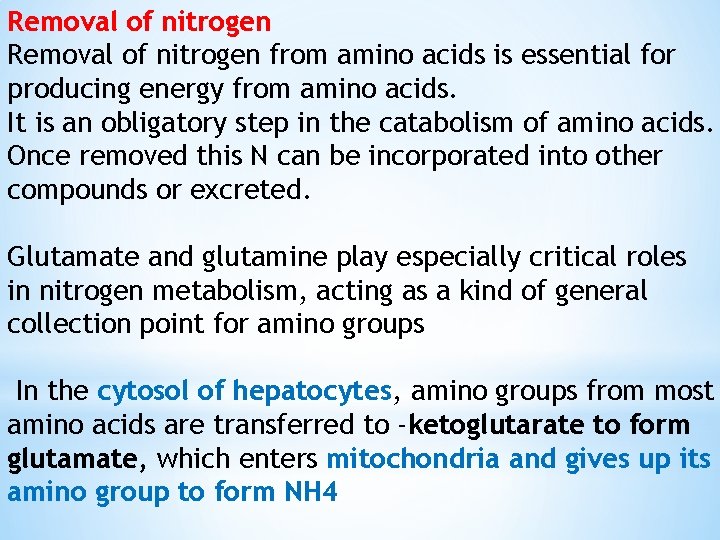 Removal of nitrogen from amino acids is essential for producing energy from amino acids.