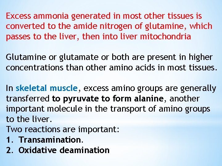 Excess ammonia generated in most other tissues is converted to the amide nitrogen of