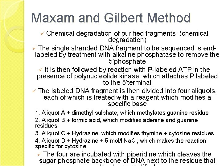 Maxam and Gilbert Method ü Chemical degradation of purified fragments (chemical degradation) ü The