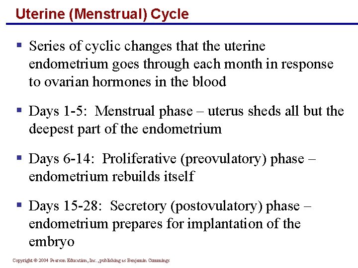 Uterine (Menstrual) Cycle § Series of cyclic changes that the uterine endometrium goes through