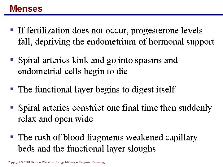 Menses § If fertilization does not occur, progesterone levels fall, depriving the endometrium of
