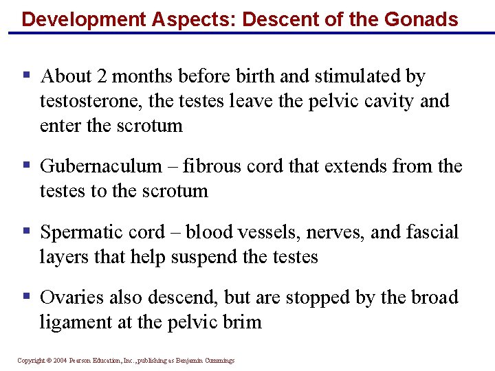 Development Aspects: Descent of the Gonads § About 2 months before birth and stimulated