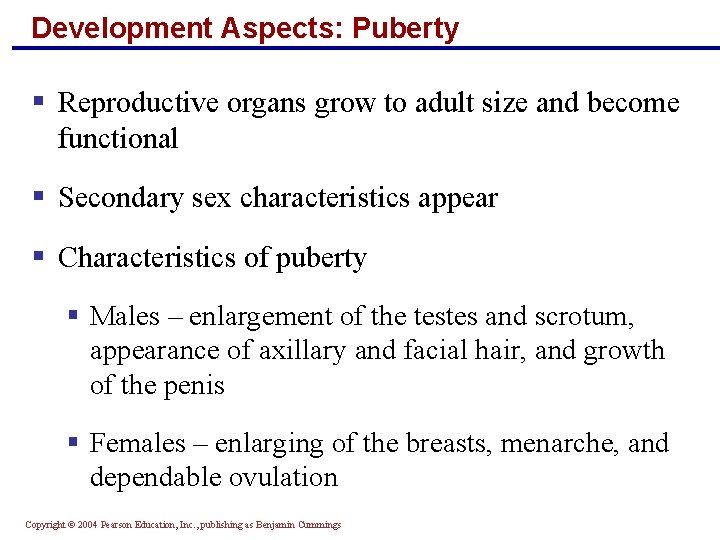 Development Aspects: Puberty § Reproductive organs grow to adult size and become functional §