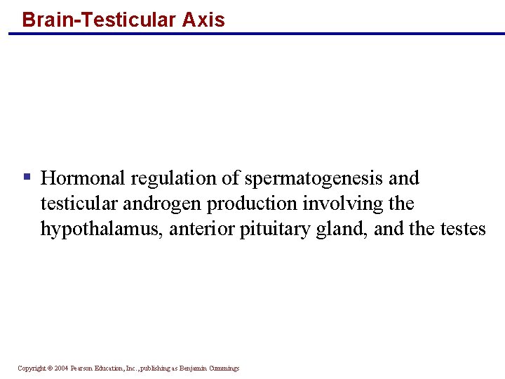 Brain-Testicular Axis § Hormonal regulation of spermatogenesis and testicular androgen production involving the hypothalamus,