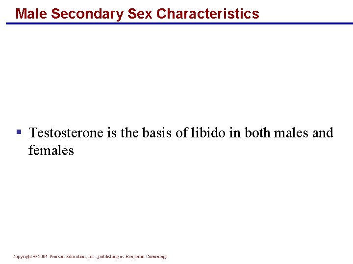 Male Secondary Sex Characteristics § Testosterone is the basis of libido in both males