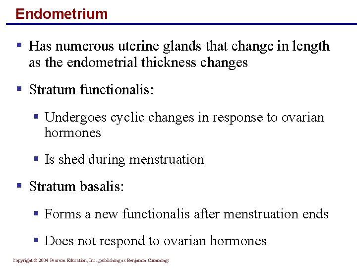 Endometrium § Has numerous uterine glands that change in length as the endometrial thickness
