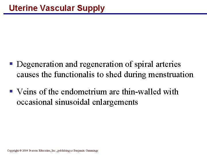 Uterine Vascular Supply § Degeneration and regeneration of spiral arteries causes the functionalis to