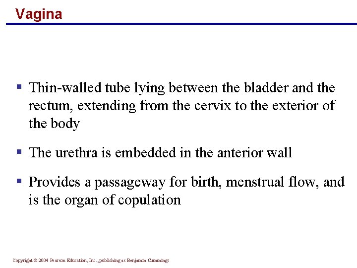 Vagina § Thin-walled tube lying between the bladder and the rectum, extending from the