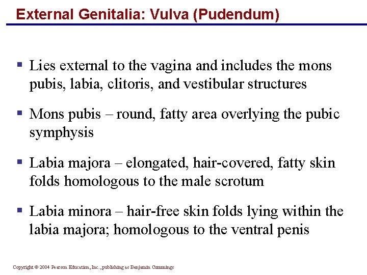 External Genitalia: Vulva (Pudendum) § Lies external to the vagina and includes the mons