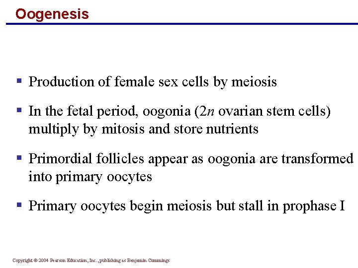 Oogenesis § Production of female sex cells by meiosis § In the fetal period,