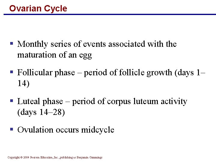 Ovarian Cycle § Monthly series of events associated with the maturation of an egg
