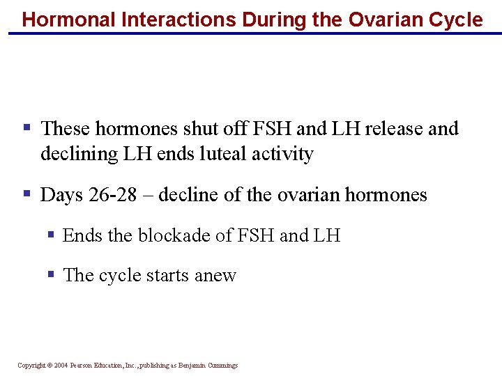 Hormonal Interactions During the Ovarian Cycle § These hormones shut off FSH and LH