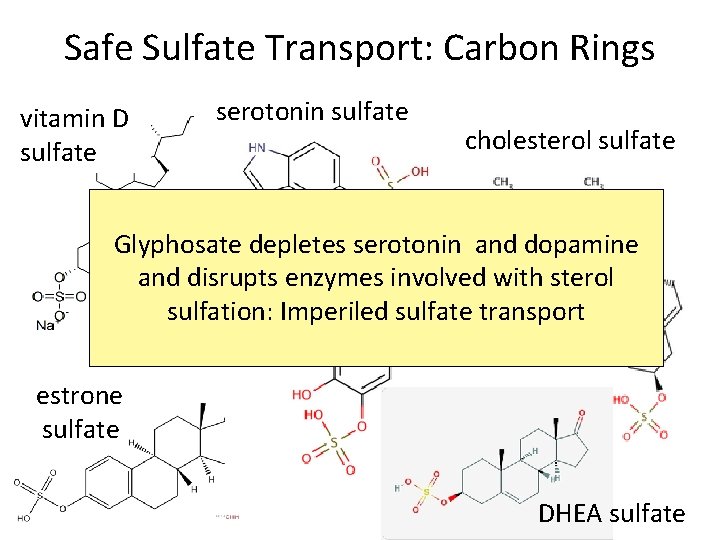 Safe Sulfate Transport: Carbon Rings vitamin D sulfate serotonin sulfate cholesterol sulfate Glyphosate depletes Safe Sulfate Transport: Carbon Rings vitamin D sulfate serotonin sulfate cholesterol sulfate Glyphosate depletes