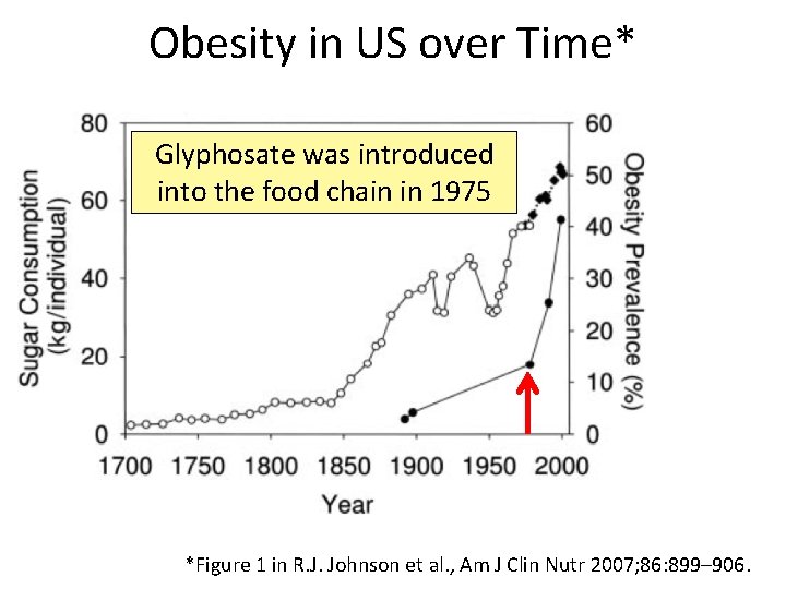 Obesity in US over Time* Glyphosate was introduced into the food chain in 1975 Obesity in US over Time* Glyphosate was introduced into the food chain in 1975