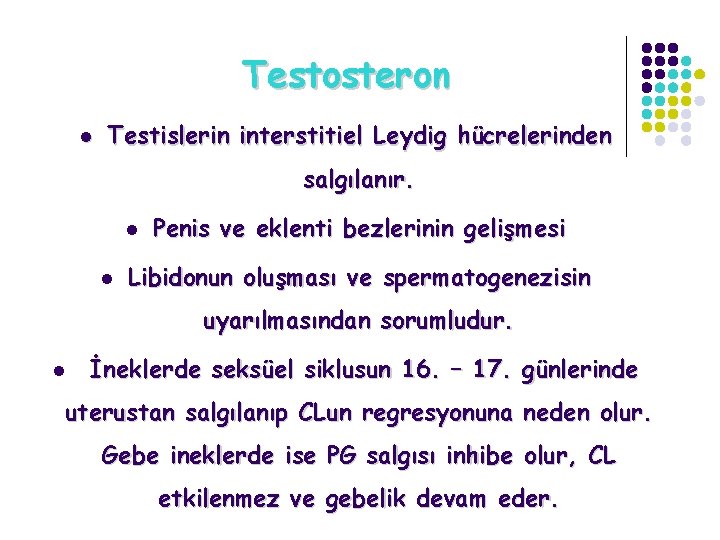 Testosteron l Testislerin interstitiel Leydig hücrelerinden salgılanır. l l Penis ve eklenti bezlerinin gelişmesi