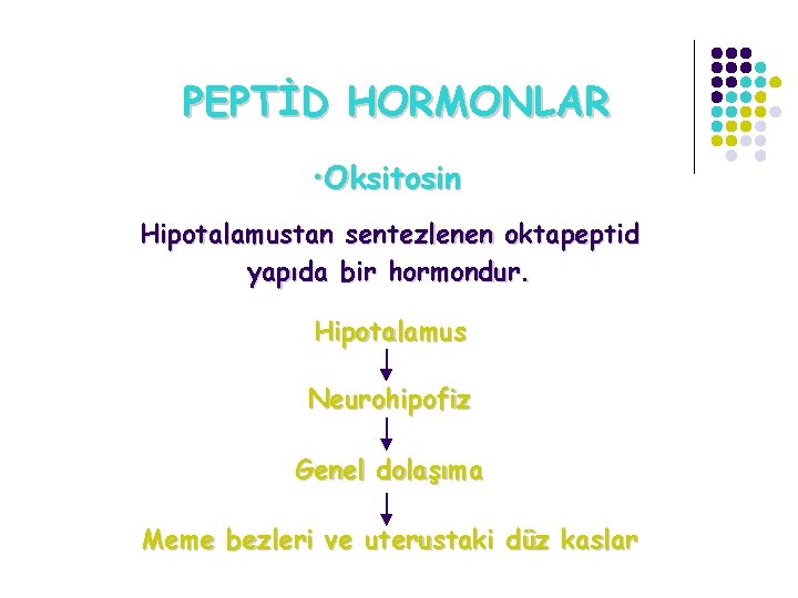 PEPTİD HORMONLAR • Oksitosin Hipotalamustan sentezlenen oktapeptid yapıda bir hormondur. Hipotalamus Neurohipofiz Genel dolaşıma