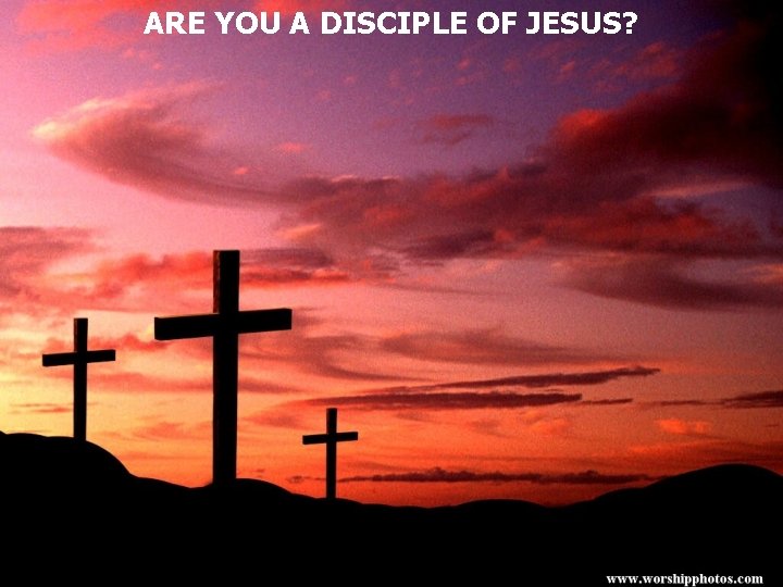 ARE YOU A DISCIPLE OF JESUS? 