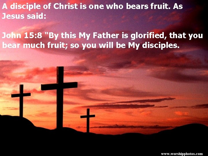 A disciple of Christ is one who bears fruit. As Jesus said: John 15: