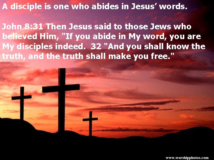 A disciple is one who abides in Jesus’ words. John 8: 31 Then Jesus